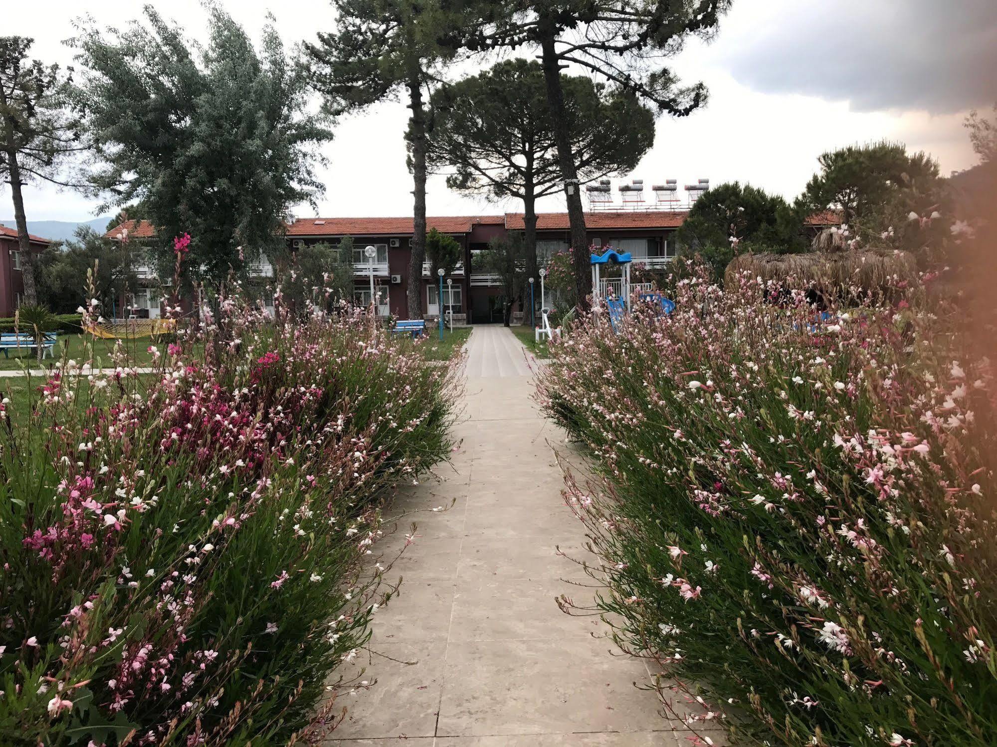 Palm Beach Hotel Küçükkuyu Kültér fotó